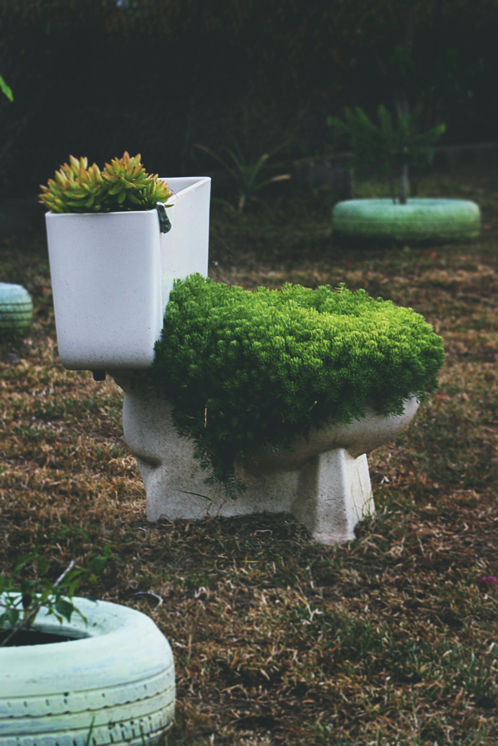 creative veg gardening ideas in vibrant garden