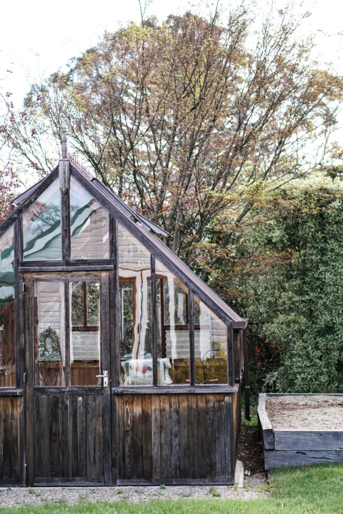 Roof gardening with herbs, flowers, and vegetables