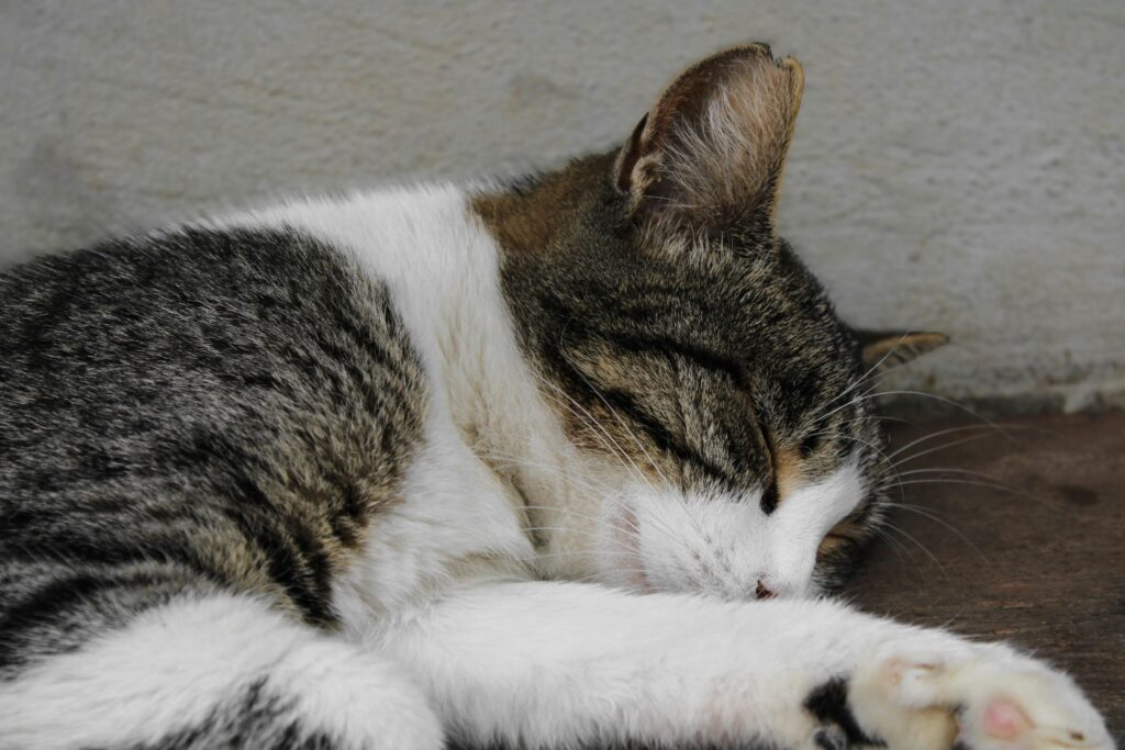 Peaceful bedroom symbolizing how to sleep more