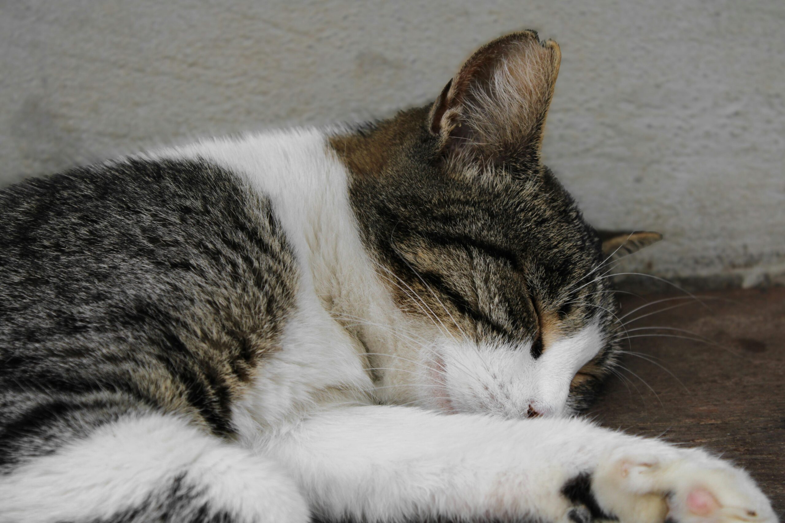 Peaceful bedroom symbolizing how to sleep more