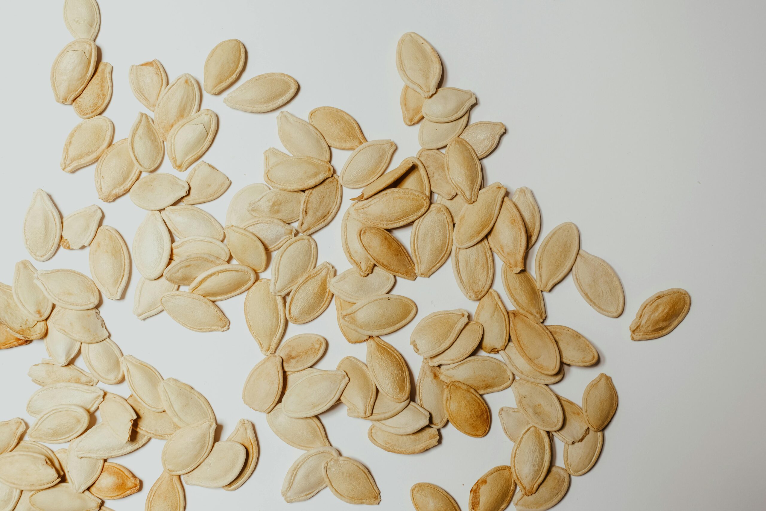Close-up of pumpkin seed in a wooden bowl with fresh pumpkins